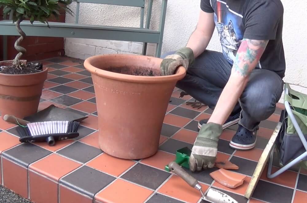 Tools for repotting a plant