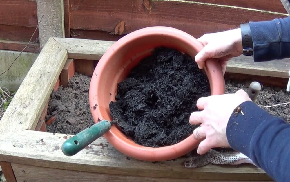preparing bareroot for planting