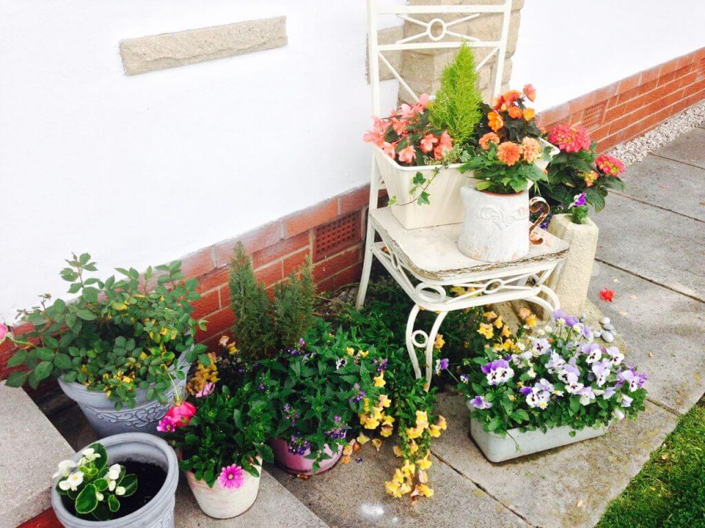 Pots and containers front garden
