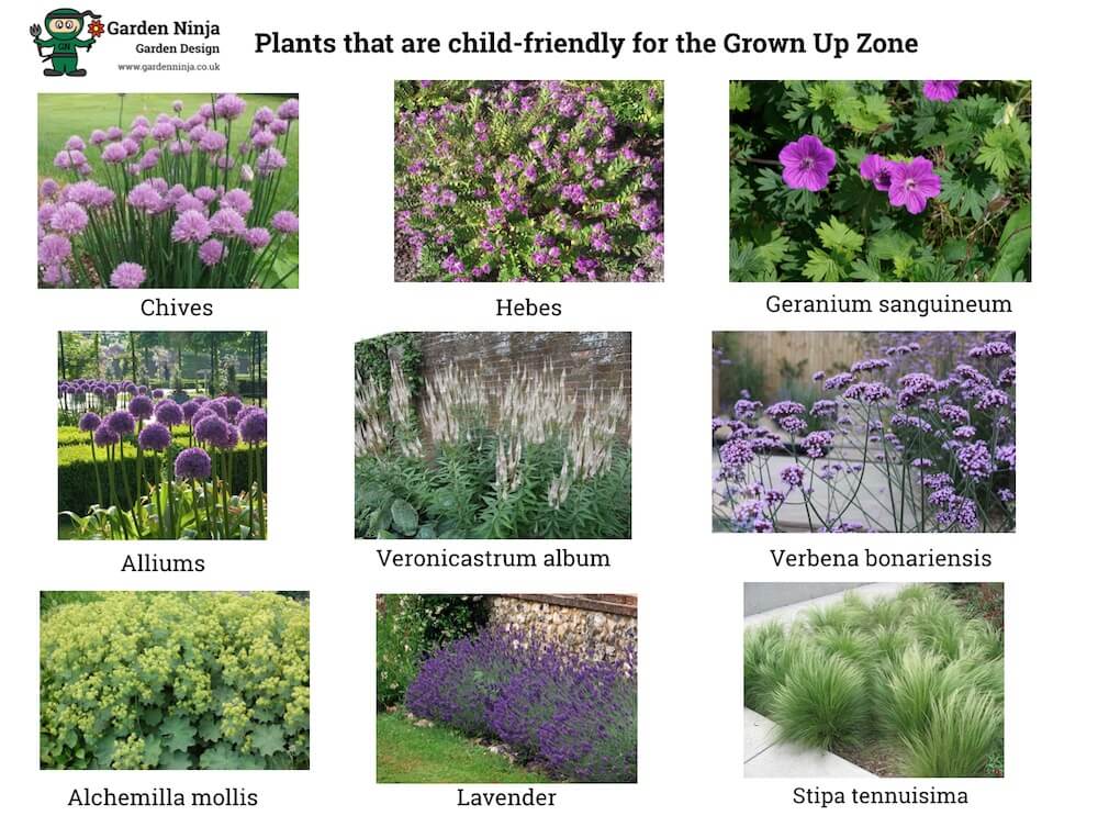 Child friendly garden planting plan