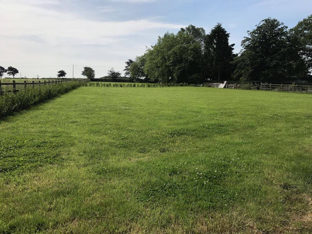 A blank paddock before the Exploding Atom Garden is designed