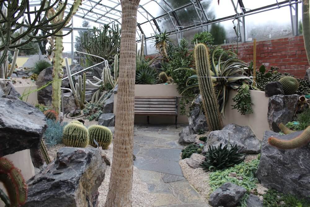 Cactus house in Inverness botanical gardens