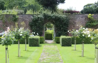 A formal garden gate with clipped hedges and topiary
