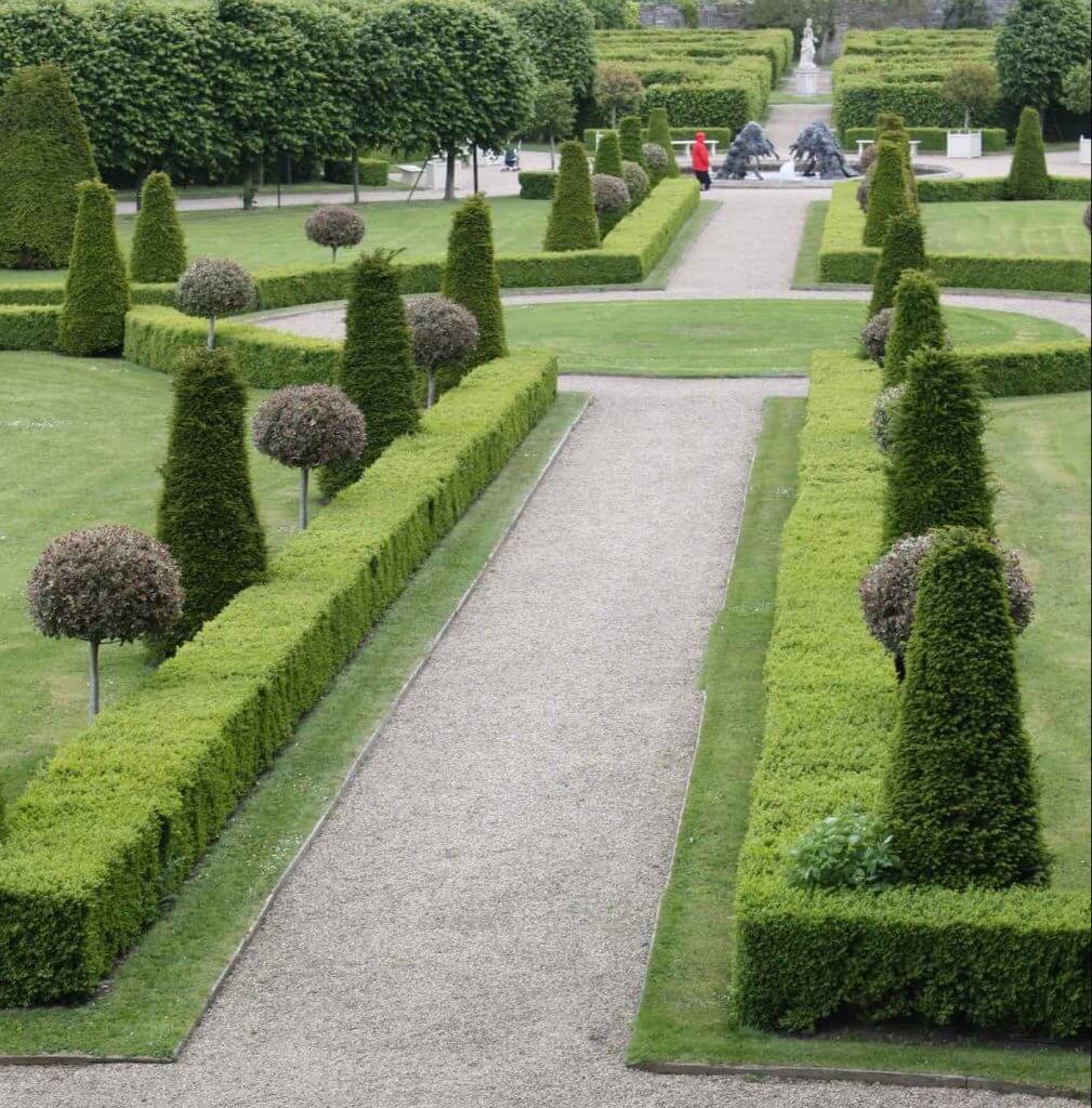 A formal topiary knot garden