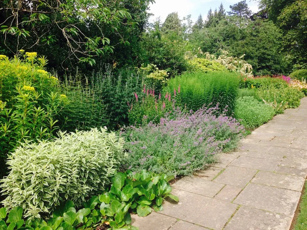 A well established, coordinated planting scheme