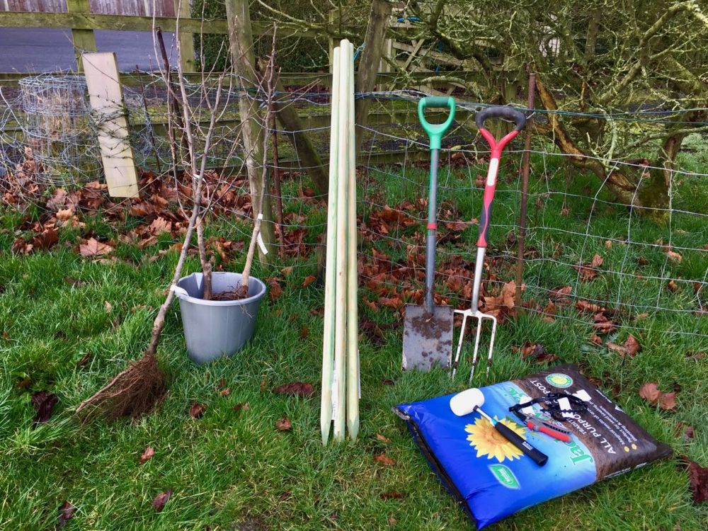 Planting bare root shrubs and trees Garden Ninja Ltd Garden Design
