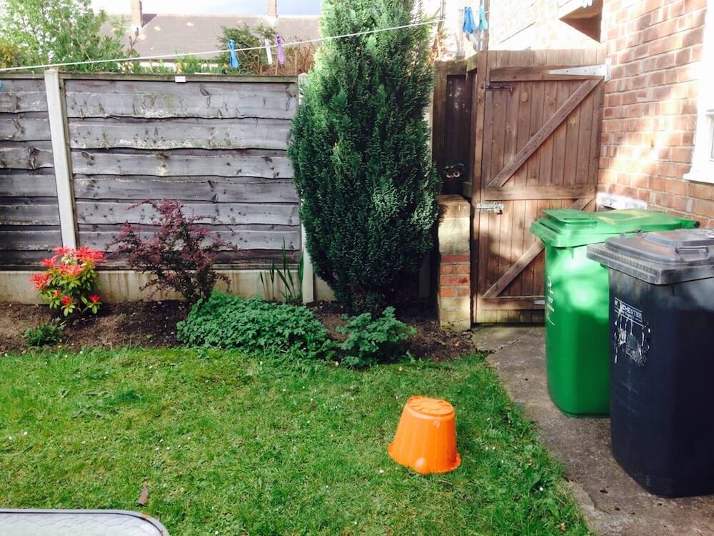 An unloved back garden