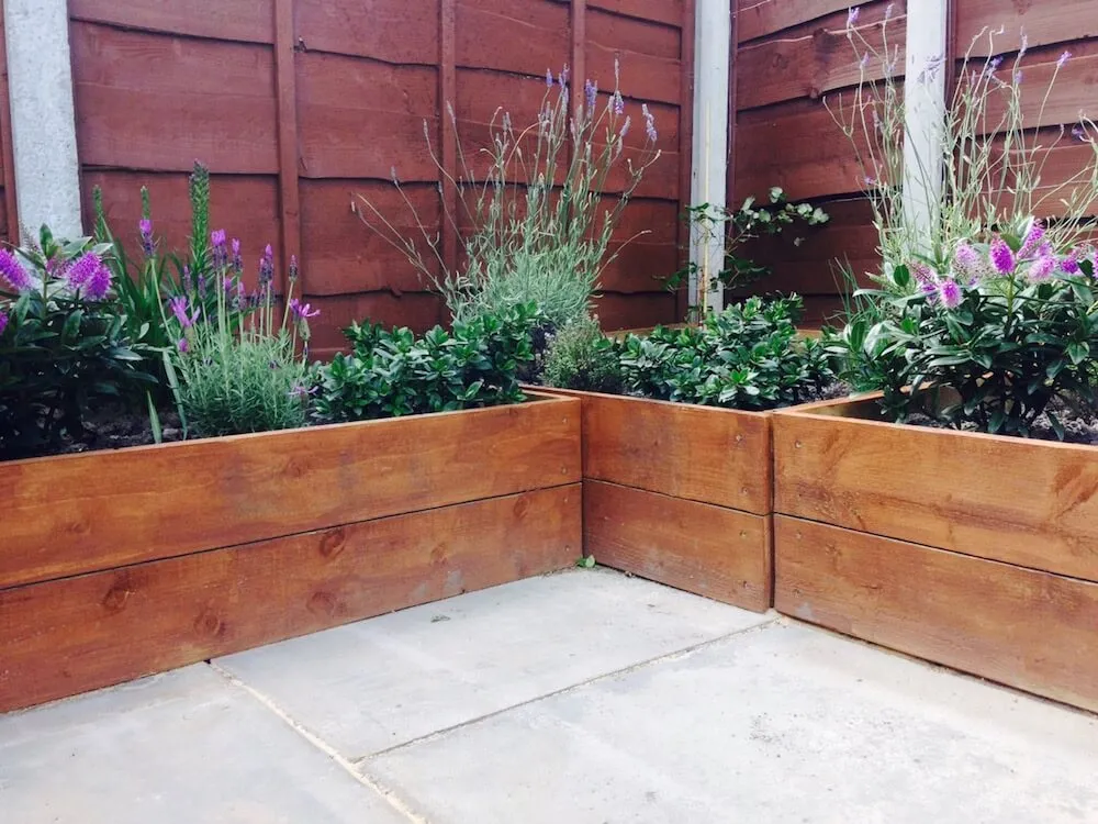 A small kitchen garden of raised beds