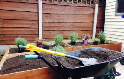 A wheel barrow with soil filling raised beds