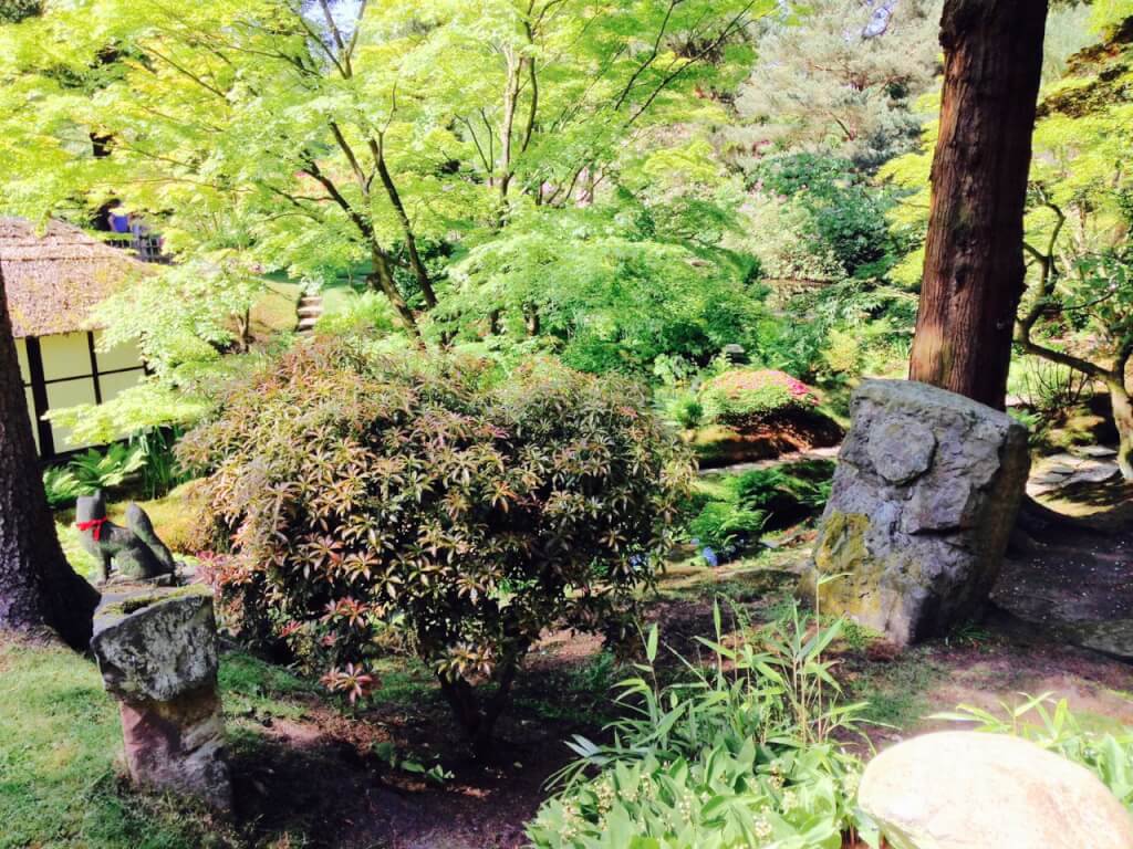 The Japanese garden at Tatton Park Manchester