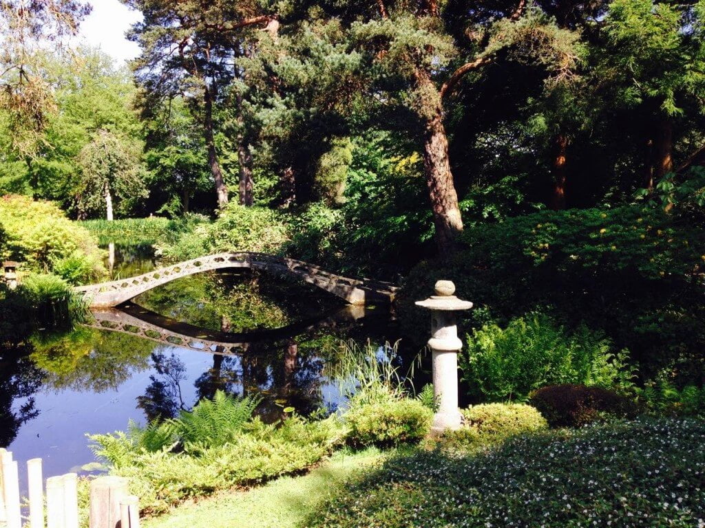 Tatton japanese garden informal