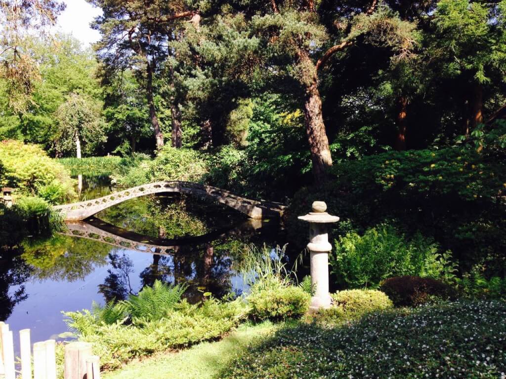 Tatton gardens guide Garden Ninja Lee Burkhill Garden Design