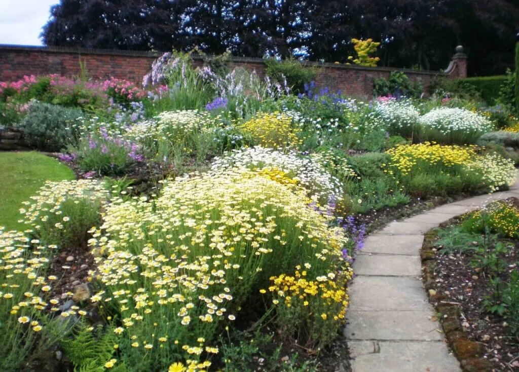 A full herbaceous garden bed