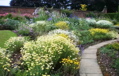 A full herbaceous garden bed