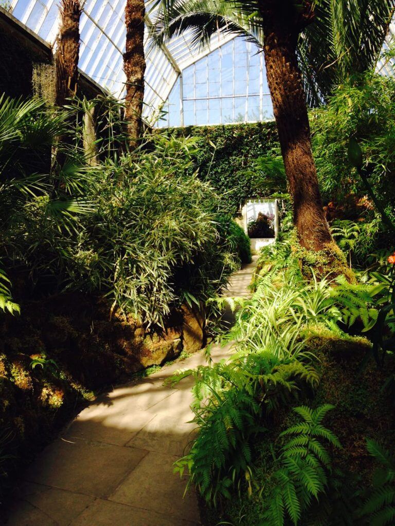 fernery tatton gardens