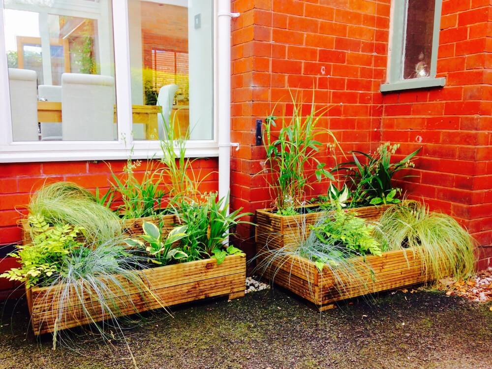 raised garden bed shade