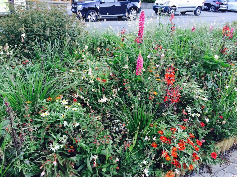 sensory garden bed