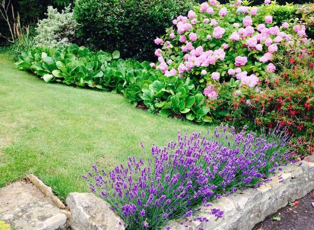 A sensory border and dry stone wall