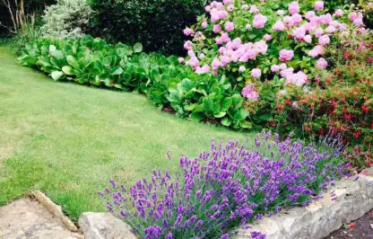 A sensory border and dry stone wall