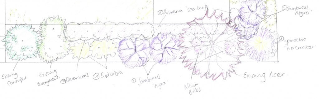 Example planting plan