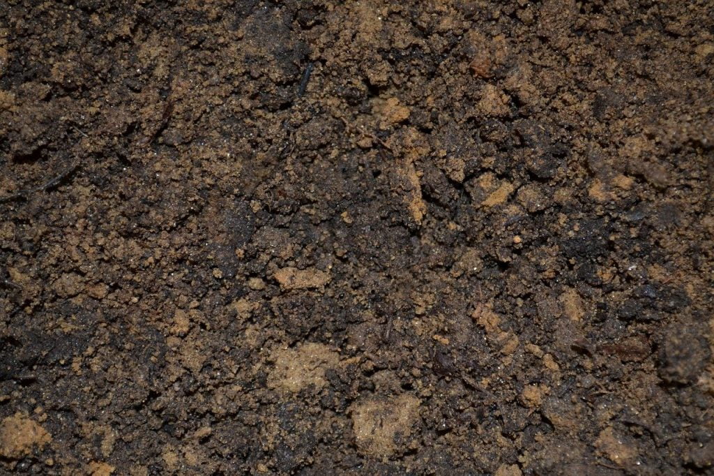 Sand based soil