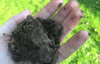 Garden Ninja holding out soil