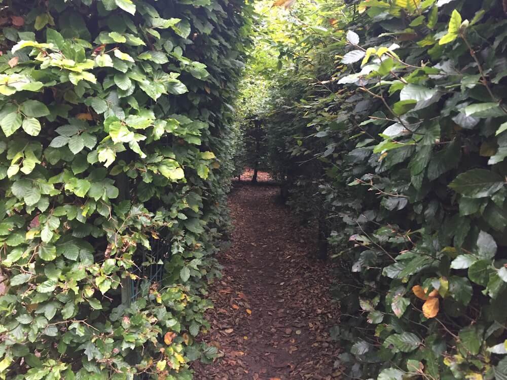 tatton garden maze