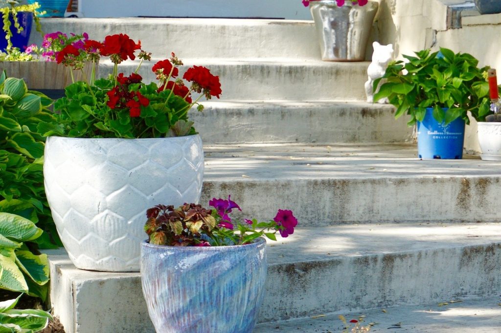 A container garden on steps
