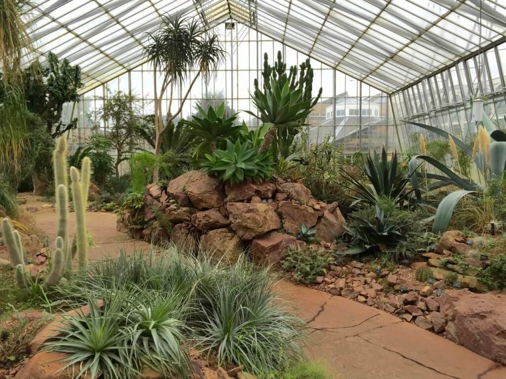 Arid lands glasshouse garden ninja