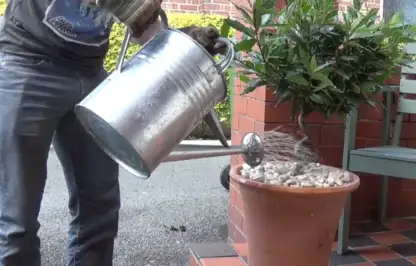Garden Ninja watering a plant in a pot