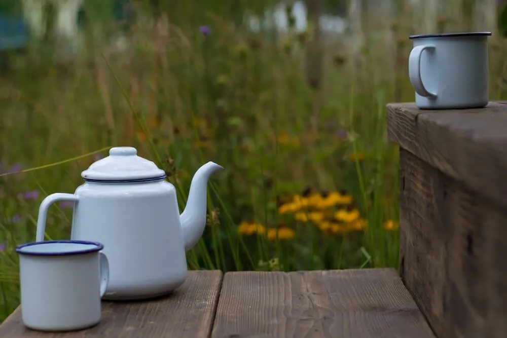 A retro tea pot on the Fancy a brew garden by Garden Ninja