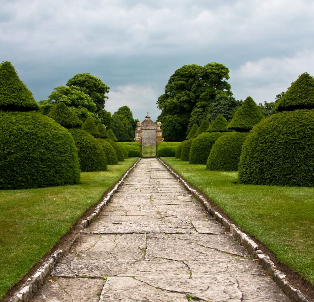 A formal path with clipped yew