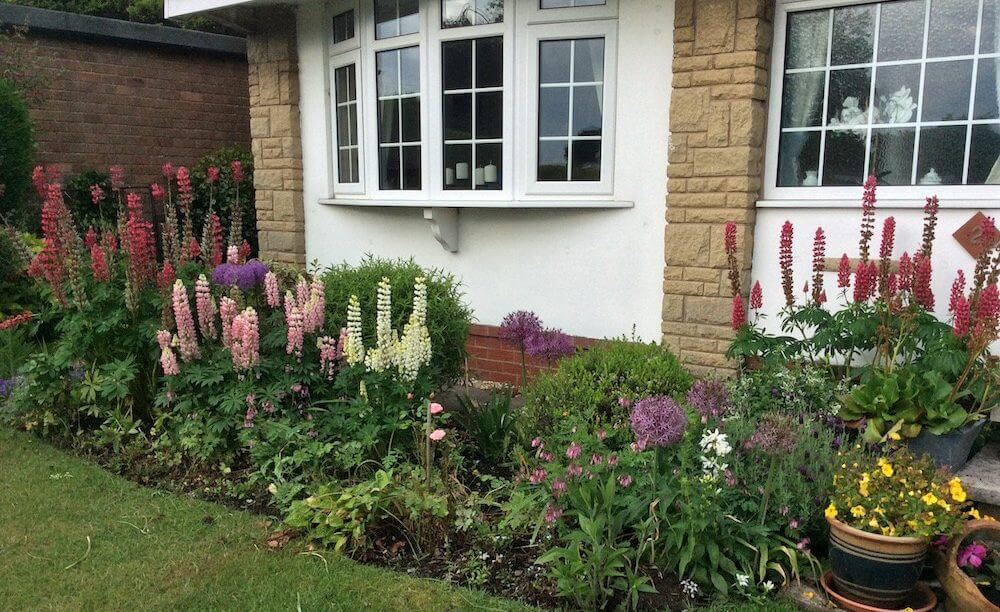 Cottage front garden