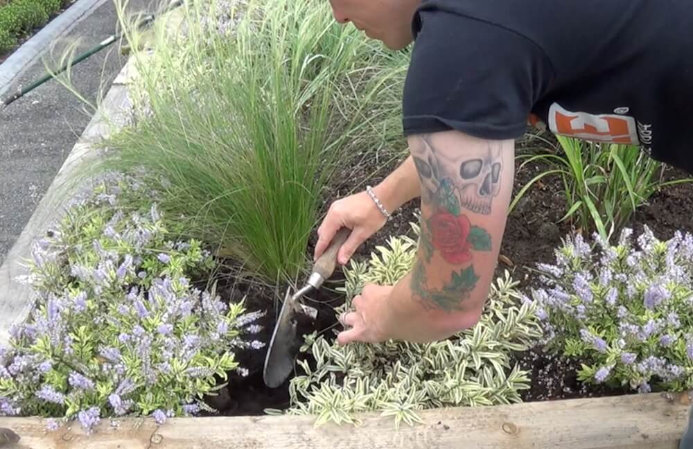 Garden Blogger Lee Burkhill mulching a garden