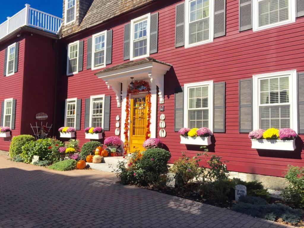 Pots and window boxes