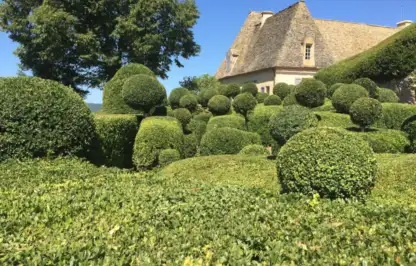 Cloud topiary in Marueyssac France