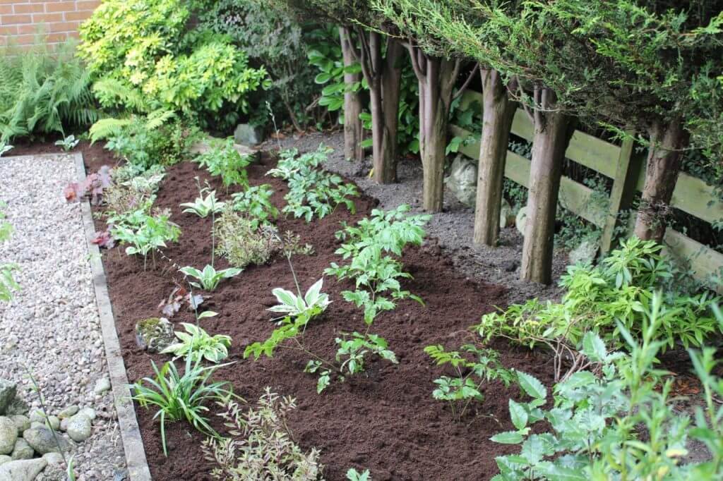 shady-border-makeover-1