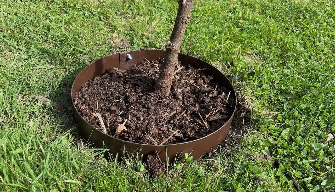 How to fit a tree ring guide