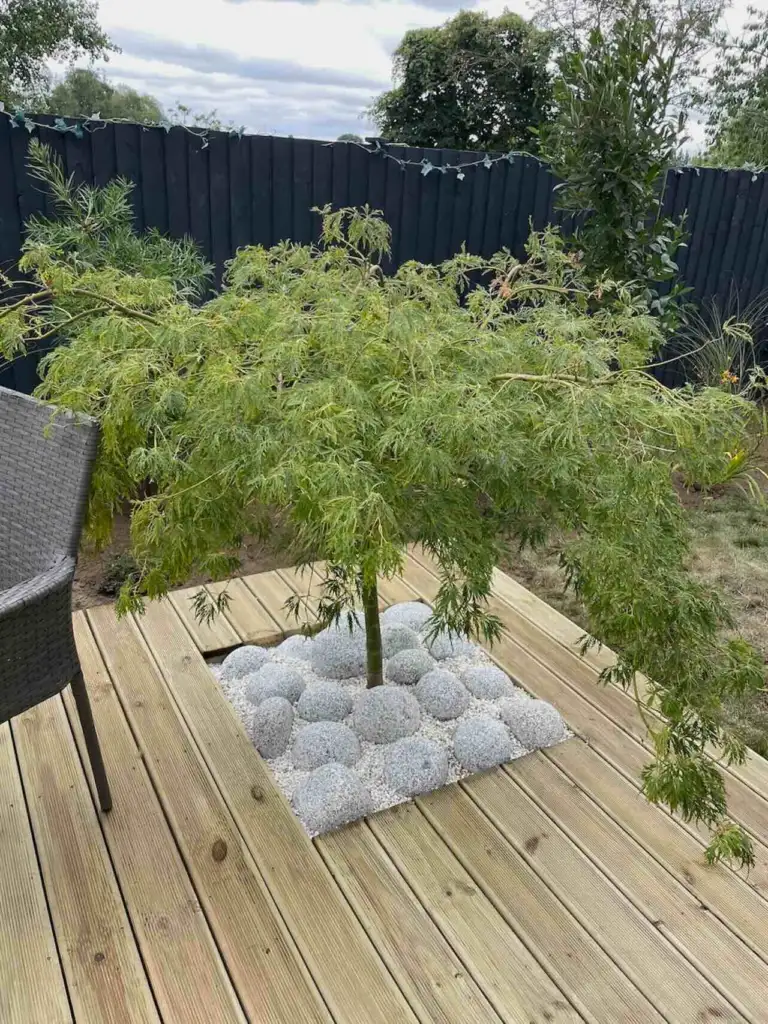 Modern garden design