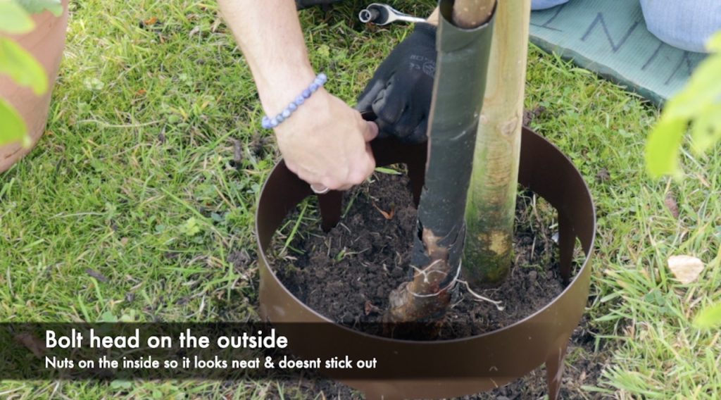 Bolting a tree ring in place