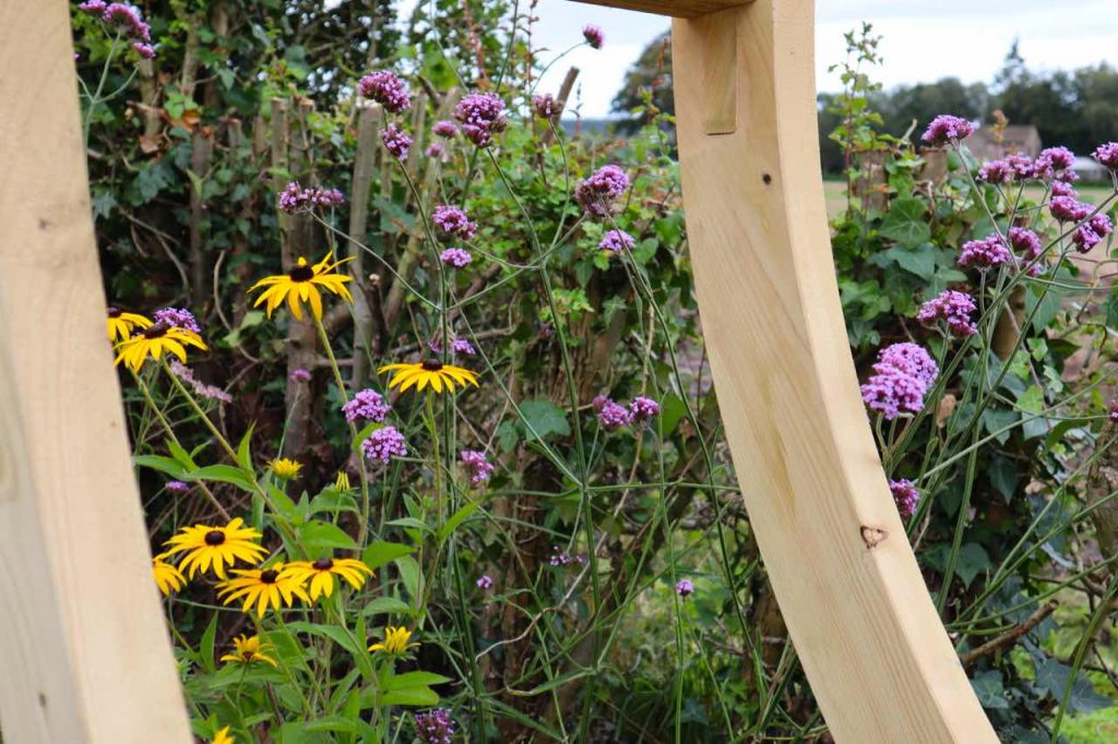 Rudbeckia and Verbena next to a moon gate