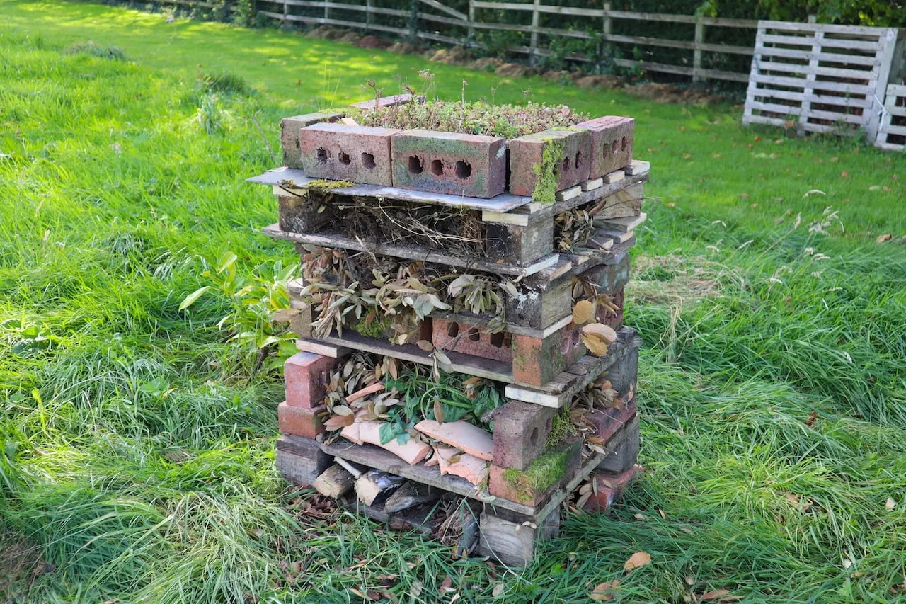 How to make a bug hotel the right way Garden Ninja Lee Burkhill