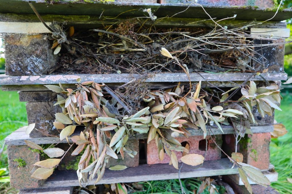 Herbaceous material for an insect hotel