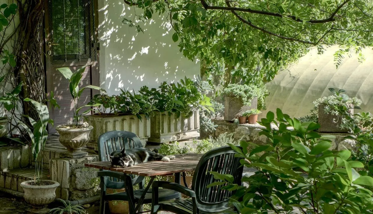 Rental property design tips
