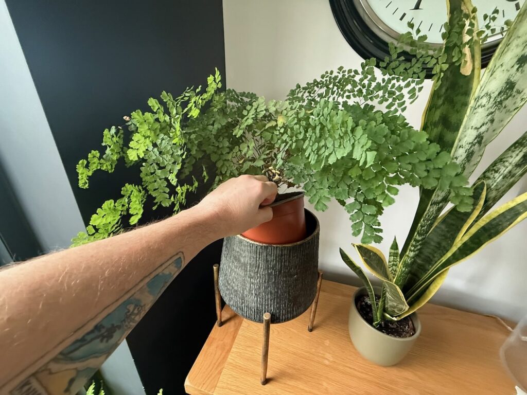 How to cache plant pots