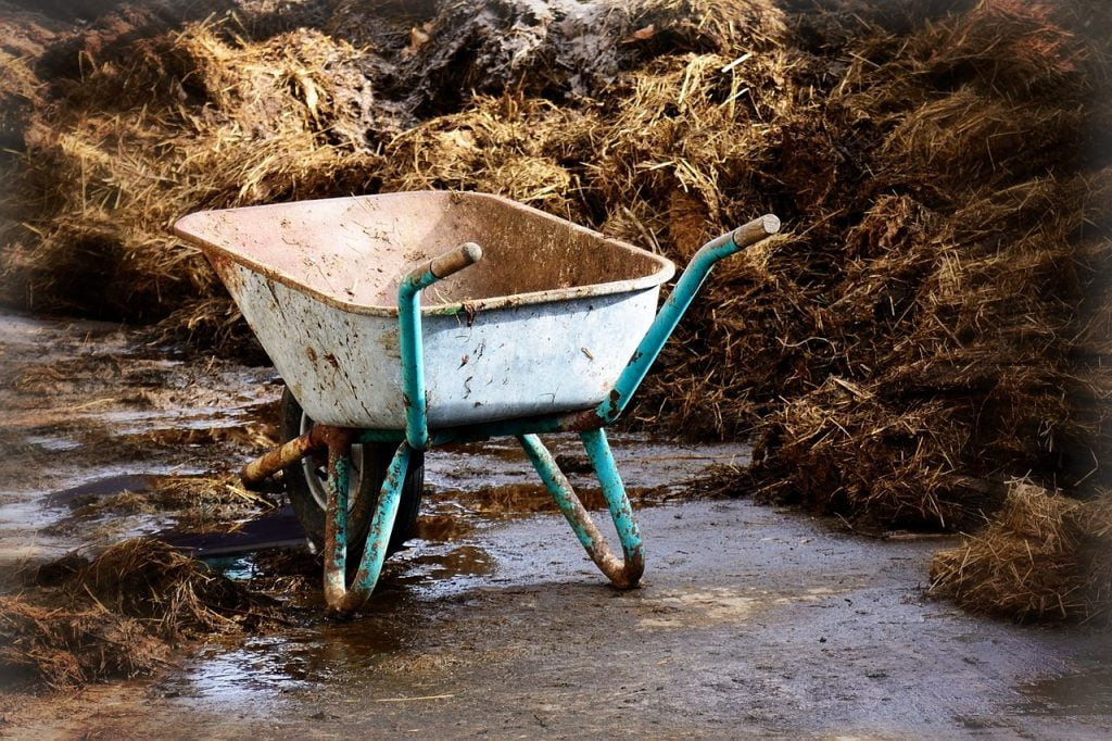 A wheelbarrow and manure