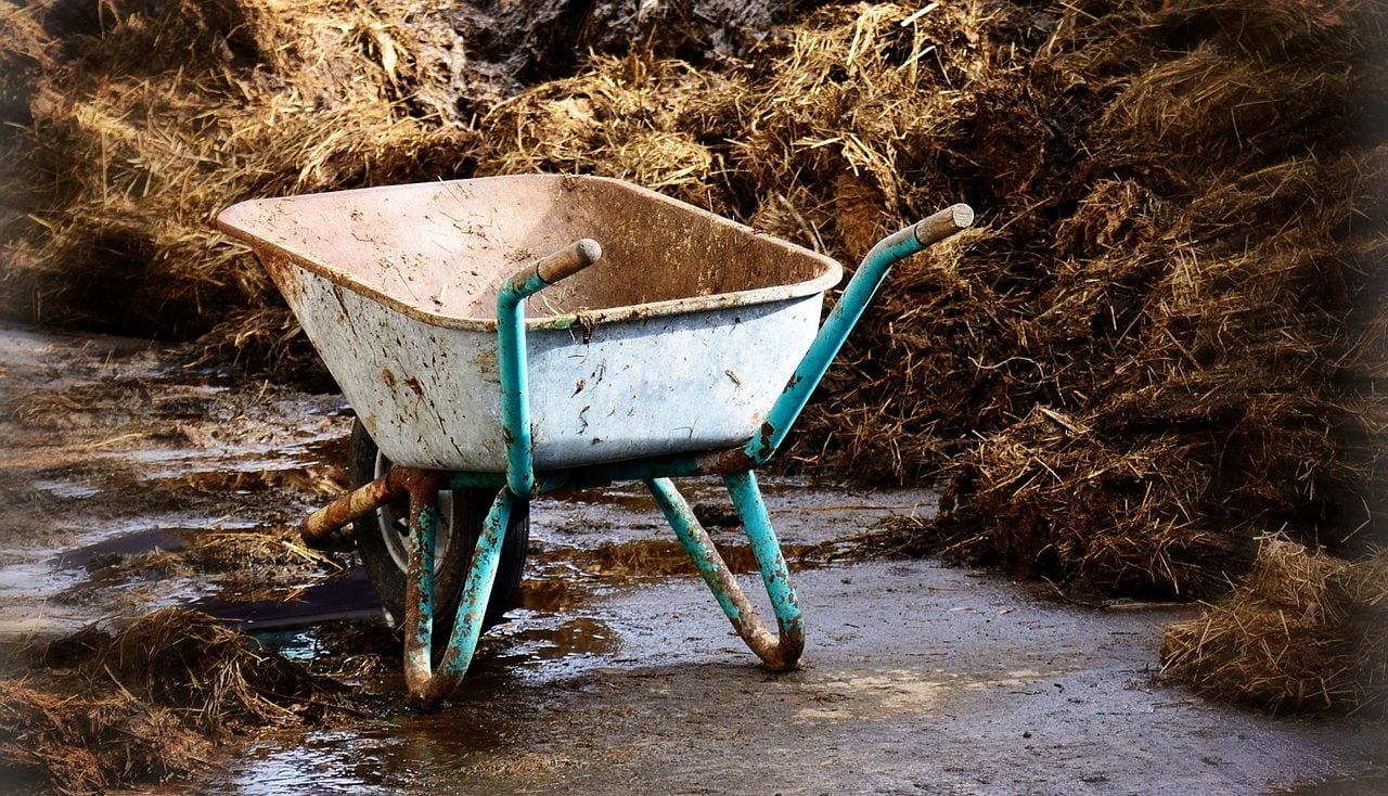 A wheelbarrow and manure