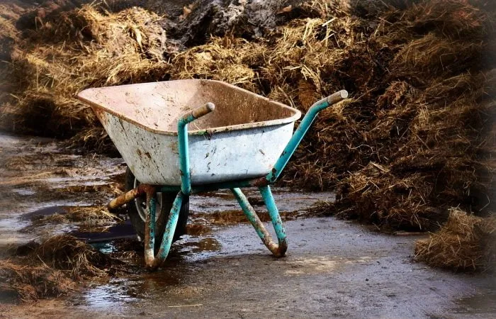 A wheelbarrow and manure