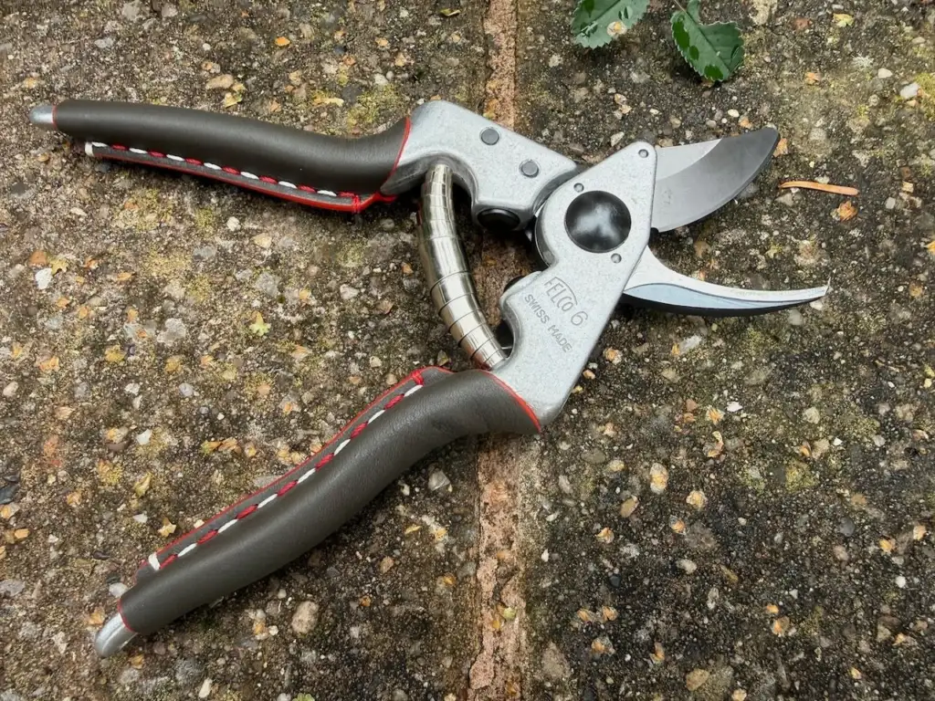 Best felco secateurs