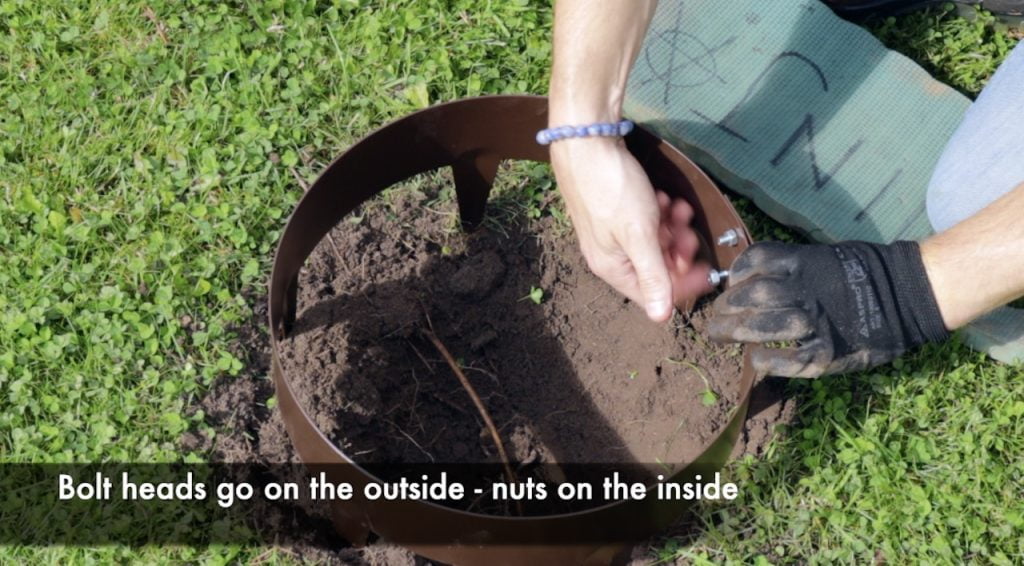 bolting a tree ring together